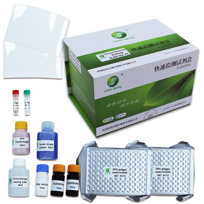 10min Porcine Parvovirus Test Kit Rapid Test Rtk For Pig 192 Wells/Kit GMP