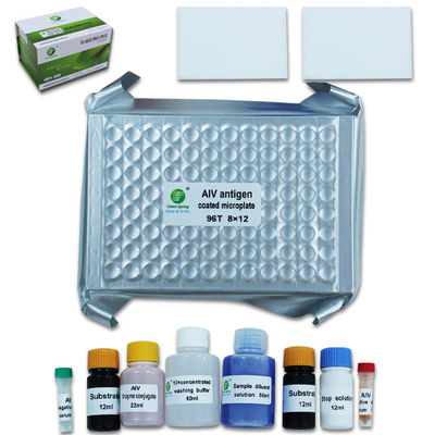 Avian Influenza Virus ELISA Anti Body Test Kit Diagnostic 96Wells/Kit ISO9001