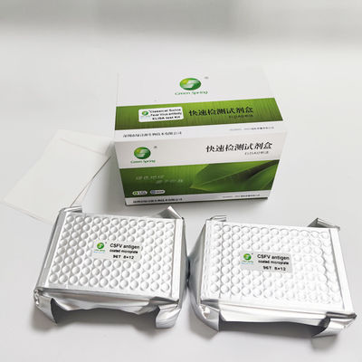 10min Swine Fever Virus Antibody Diagnostic ELISA Kit For Pig 192 Wells/Kit