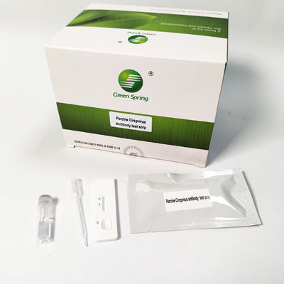 Porcine Circovirus (PCV2) Swine Influenza Test Kit Antibody Rapid 50 Tests/Kit GMP