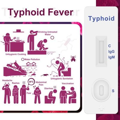 Typhoid IgM / IgG Rapid Antibody Test Cassette One Step 40 Tests/Kit