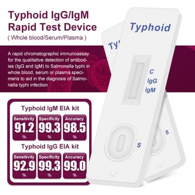 Typhoid IgM / IgG Rapid Antibody Test Cassette One Step 40 Tests/Kit
