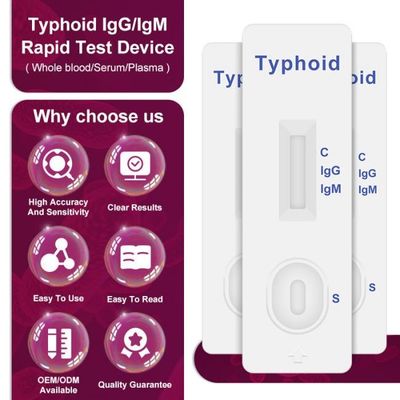 Typhoid IgM / IgG Rapid Antibody Test Cassette One Step 40 Tests/Kit