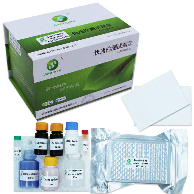 Antibody Brucella Brucellosis Diagnostic ELISA Kit  For Bovine Sheep Pig ISO9001