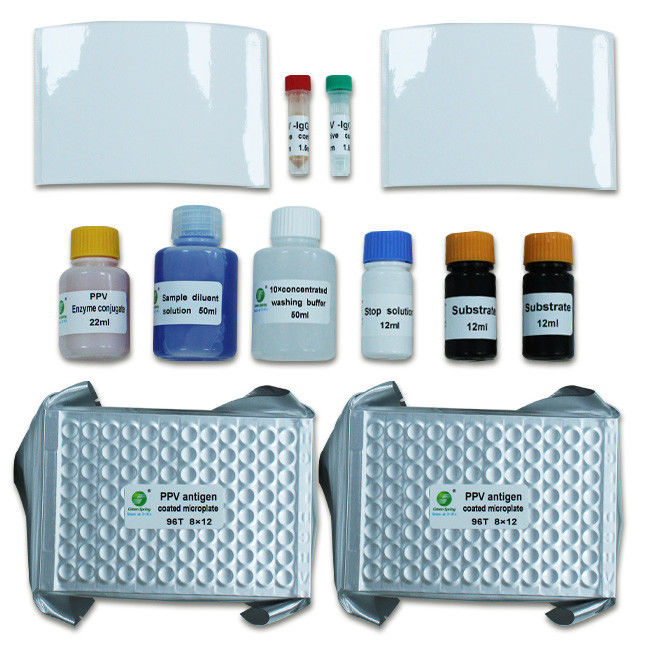 Parvovirus Antibody Diagnostic Porcine Test Kit 192Wells/Kit PPV
