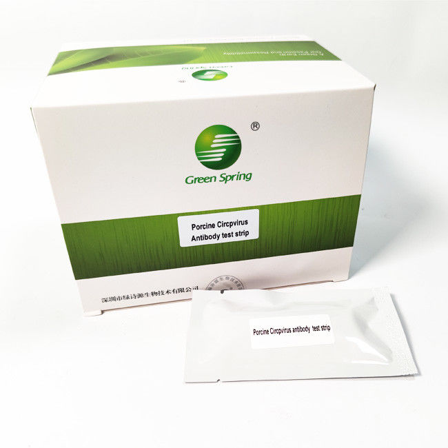Porcine Circovirus (PCV2) Swine Influenza Test Kit Antibody Rapid 50 Tests/Kit GMP