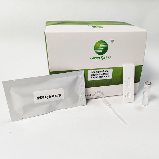 10min Infectious Bursal Disease (IBD) Avian Influenza Rapid Test Kit Antigen Elisa 50 Tests/Kit