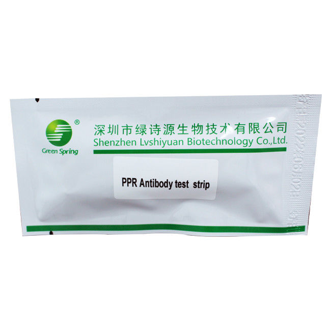 GMP PPR Antibody Test Strip Peste Des Petits Ruminants 25 Tests/Kit