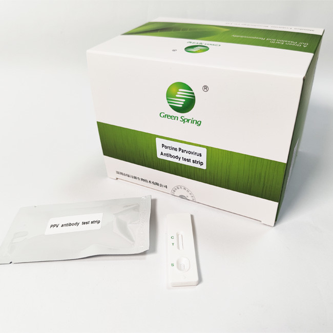 PPV Porcine Parvovirus Swine Influenza Test Kit Antibody Rapid 50 Tests/Kit GMP