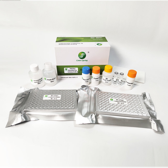 Avian Infectious Bronchitis Virus IBV Bird Flu Test Kit Antibody For Poultry 192 Wells/Kit