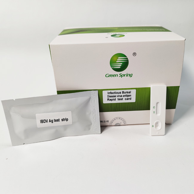 10min Infectious Bursal Disease (IBD) Avian Influenza Rapid Test Kit Antigen Elisa 50 Tests/Kit