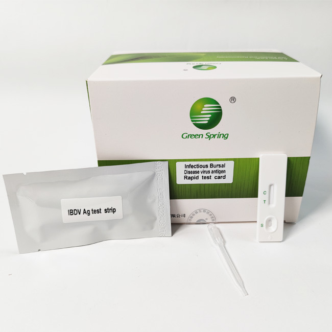 10min Infectious Bursal Disease (IBD) Avian Influenza Rapid Test Kit Antigen Elisa 50 Tests/Kit