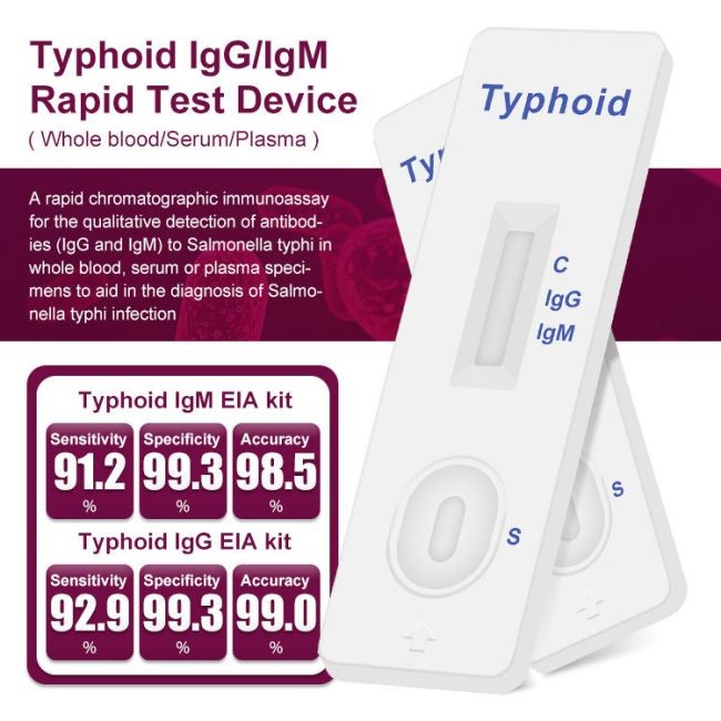 Typhoid IgM / IgG Rapid Antibody Test Cassette One Step 40 Tests/Kit