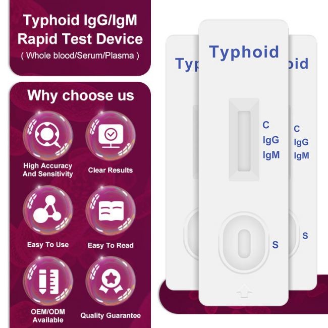 Typhoid IgM / IgG Rapid Antibody Test Cassette One Step 40 Tests/Kit