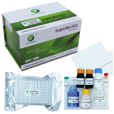 Brucellosis Veterinary ELISA Test Kit สำหรับ วัว แพะ แกะ หมู สุนัข