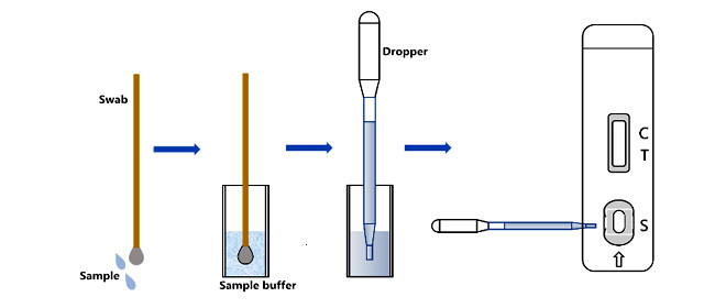 Canine Rabies Virus Antigen Saliva Pet Rapid Test Kit Rabies Test Kit ...