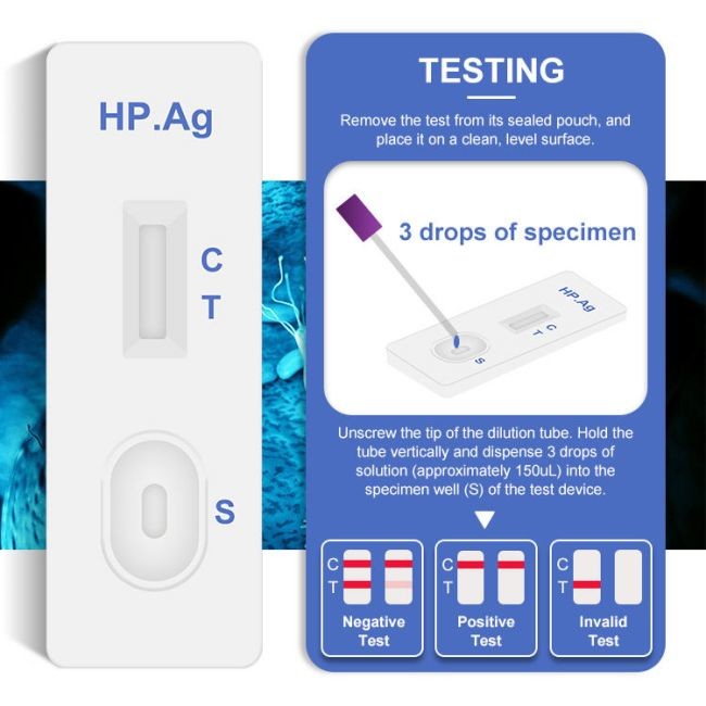 One Step H Pylori Antigen Test Kit 99 Accuracy Helicobacter Infectious